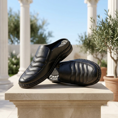 হাওয়াই সোল | Black Leather Men’s Loafers Shoe – 108